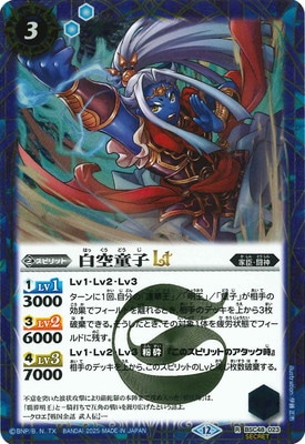 ��SECRET��BSC48-023 ���Ƹ��LT R��2025��