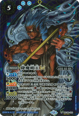 SECRETBSC48-025 LT M2025