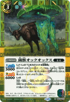 SECRETBS73-024 ݽååå R2025