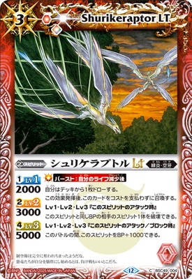 BSC49-004 ꥱץȥLT2025