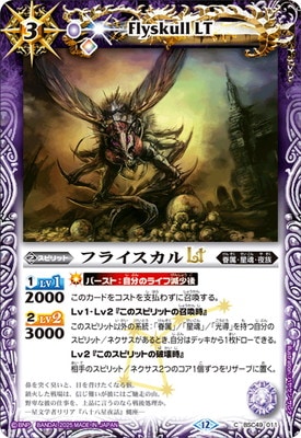 BSC49-011 ե饤LT2025