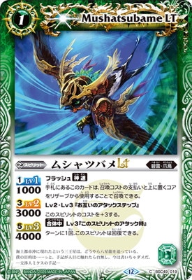 BSC49-019 ॷĥХLT2025