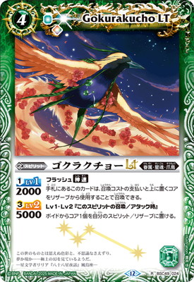 BSC49-024 饯硼LT R2025