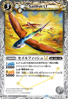 BSC49-030 եåLT2025