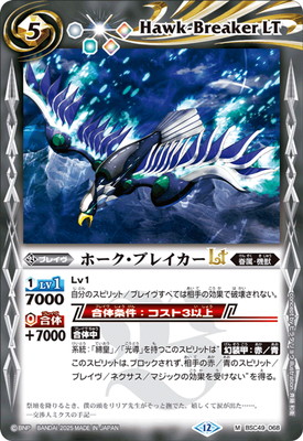 BSC49-068 �ۡ������֥쥤����LT M��2025��