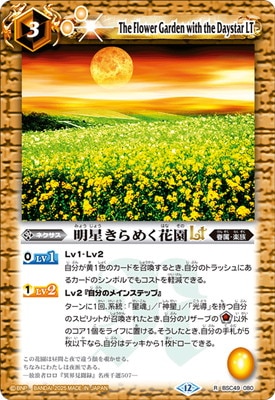 BSC49-080 ��������᤯�ֱ�LT R��2025��
