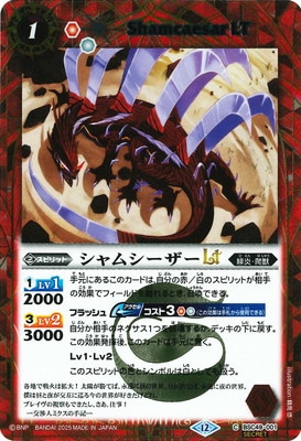 ��SECRET��BSC49-001 ����ॷ������LT��2025��