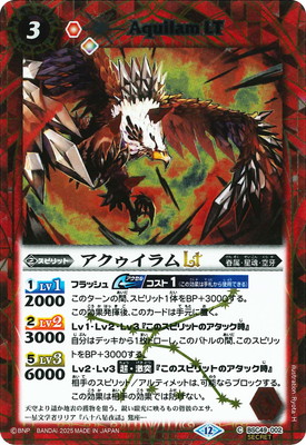 SECRETBSC49-002 LT2025