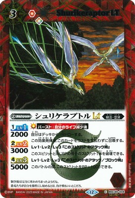 ��SECRET��BSC49-004 ����ꥱ��ץȥ�LT��2025��