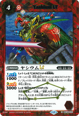 SECRETBSC49-005 䥷LT2025