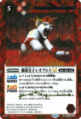 SECRETBSC49-007 ζĻҥ쥪륹LT R2025