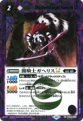 SECRETBSC49-010 ǵΥإꥹLT2025