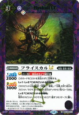 SECRETBSC49-011 ե饤LT2025