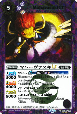 SECRETBSC49-015 ޥϡLT2025