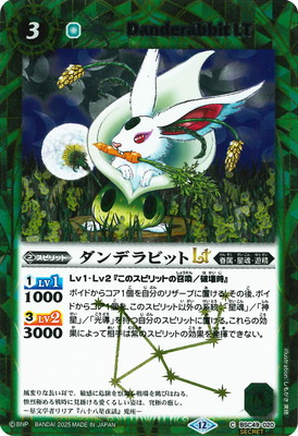 SECRETBSC49-020 ǥӥåLT2025