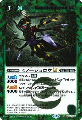 SECRETBSC49-022 ΰ쥸LT2025