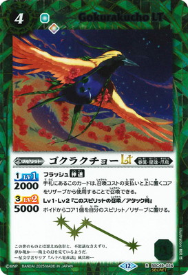 SECRETBSC49-024 饯硼LT R2025