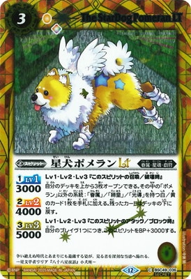 ��SECRET��BSC49-036 �����ݥ���LT��2025��