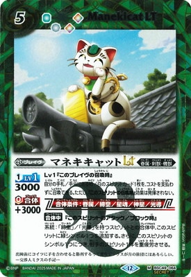 ��SECRET��BSC49-064 �ޥͥ�����å�LT M��2025��