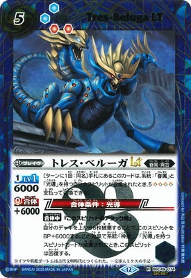 ��SECRET��BSC49-074 �ȥ쥹���٥롼��LT R��2025��