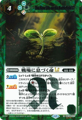 ��SECRET��BSC49-077 ����©�Ť�̿LT R��2025��