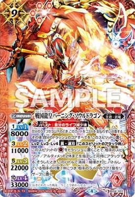 ڥץХBS34-X01 ζĥС˥󥰡ɥ饴 X2025