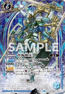 ڥץХBS31-070  M2025