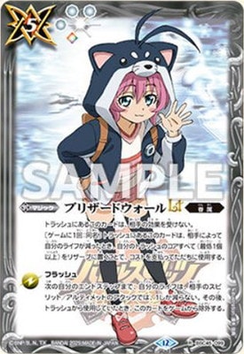 ڥץХBSC45-099 ֥ꥶɥLT R2025