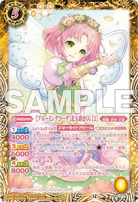 ڥץХPB44-011 Υ֥롼ߥ󥰥ǡϩ 2ϡ2025