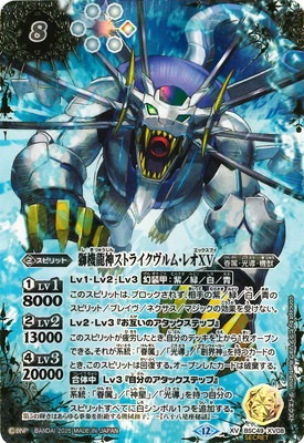 ڥʰ¡ۡSECRETBSC49-XV08 ⵡζȥ饤ࡦ쥪XV XV2025