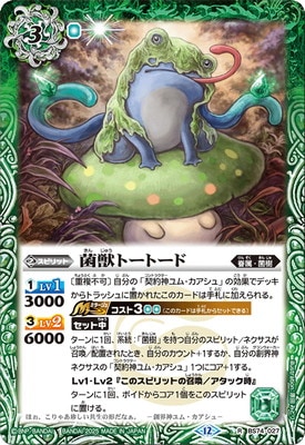 BS74-027 �ݽåȡ��ȡ��� R��2025��