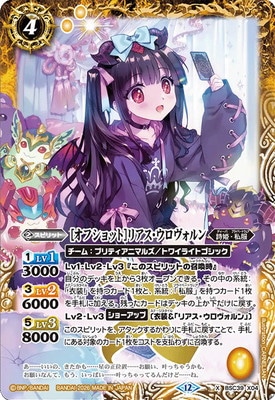 ��BSC51��BSC39-X04 [���ե���å�]�ꥢ��������������� X��2026��