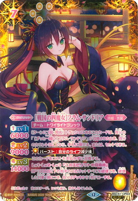 ��SECRET��BSC51-CP03 [���λ����]�ե�ࡦ����ɥꥢ CP��2026��