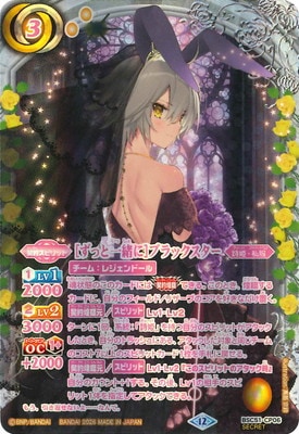 ��SECRET��BSC51-CP06 [���äȰ���]�֥�å������� CP��2026��