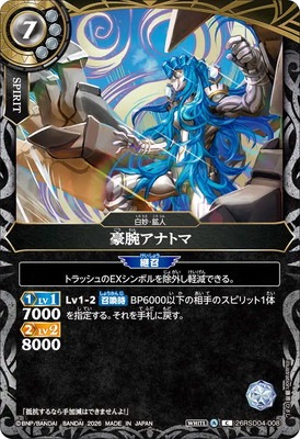 26RSD04-008 ���ӥ��ʥȥ� C��2026��