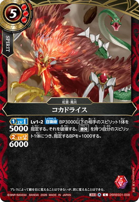 26RBS01-008 �����ɥ饤�� C��2026��