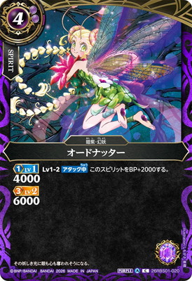 26RBS01-020 �����ɥʥå��� C��2026��