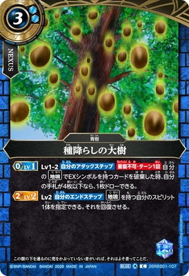 26RBS01-107 ��ߤ餷����� C��2026��