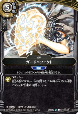 26RBS01-119�����ɥ��ե����� C��2026��