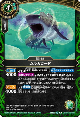 26RBS02-028 ���륫������ C��2026��