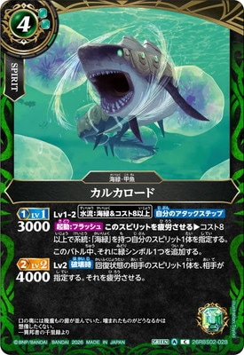 �ڥ����ʰ¡�26RBS02-028 ���륫������ C��2026��