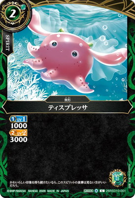 26RSD10-001 �ƥ����ץ�å� C��2026��