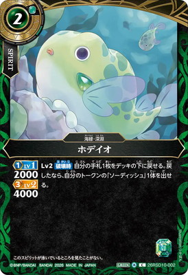 26RSD10-002 �ۥǥ��� C��2026��