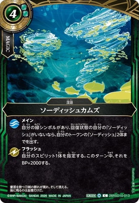 26RSD10-013 �����ǥ��å��奫�ॺ C��2026��