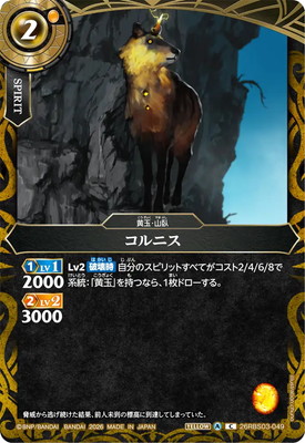 26RBS03-049 ����˥� C��2026��