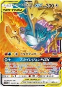 [SM12a]��RR�ۥե����䡼&�������&�ե꡼����GX(102/173)SM12a