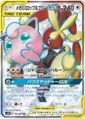 [SM12]SRۥᥬߥߥåסץGX(103/095)SM12