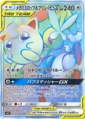 [SM12]��HR�ۥᥬ�ߥߥ��åס��ץ��GX(114/095)SM12