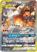 [SM10]SR[㤤]쥷ꥶɥGX(097/095)SM10