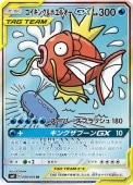 [SM9]SR[㤤]󥰡ۥ륪GX(099/095)SM9